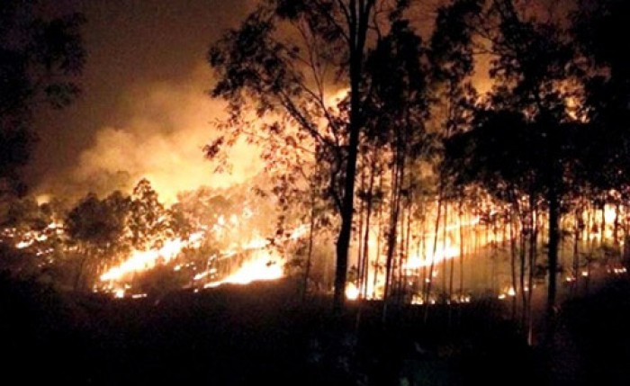 Nắng nóng Thanh Hóa lại xảy ra cháy rừng