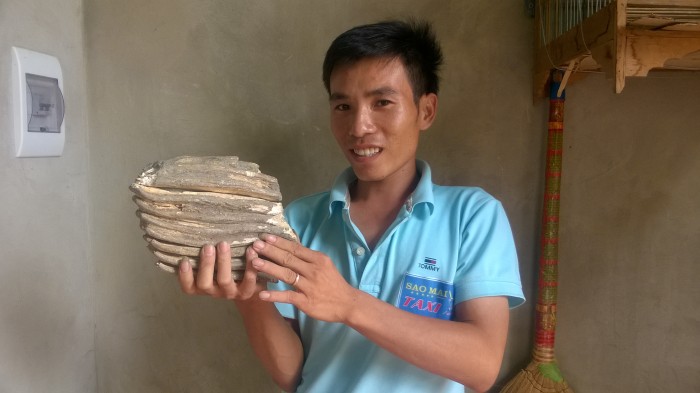 Phát hiện hàm răng hóa thạch nghi của voi ma mút Phát hiện hàm răng hóa thạch nghi của voi ma mút