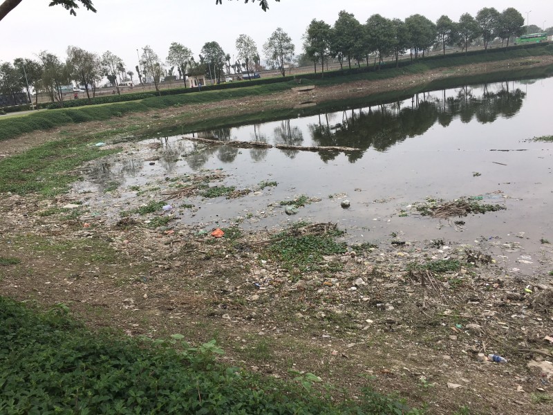 Hồ điều hòa trong công viên Yên Sở đang bị ô nhiễm