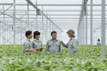 Phát triển HTX gắn với thực hiện tái cơ cấu kinh tế nông nghiệp
