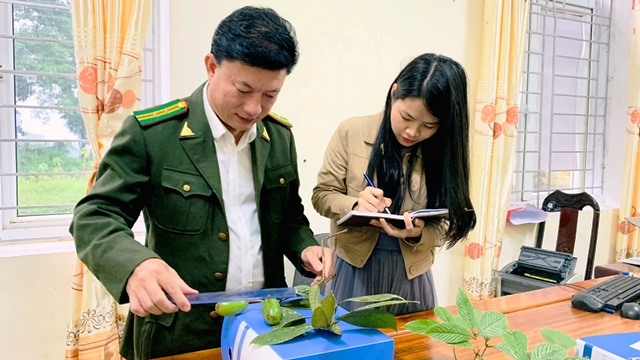 Hà Tĩnh: Phát hiện loài thực vật mới có giá trị tại Vườn Quốc gia Vũ Quang