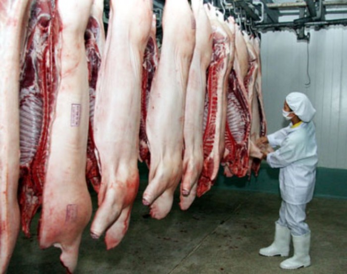 Triển khai Dự án chuỗi thịt lợn VIP Hà Nội