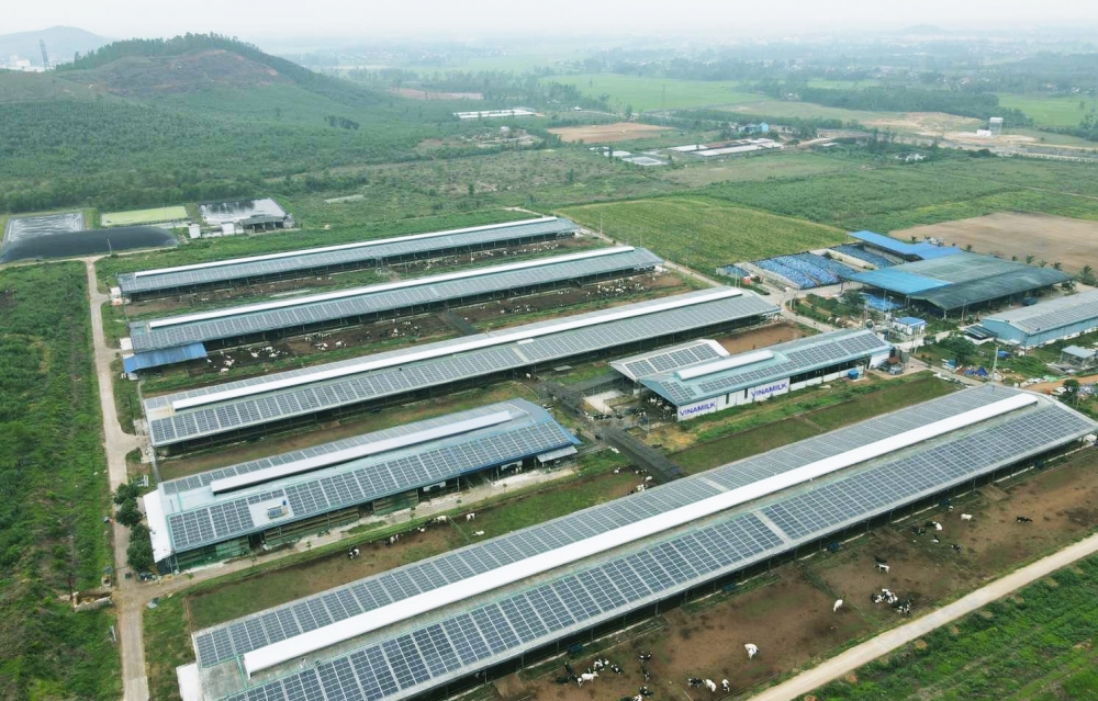 Năng lượng mặt trời được triển khai trên toàn bộ hệ thống các trang trại của Vinamilk