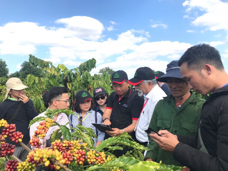NESCAFÉ Plan mười năm gắn kết với nông dân nâng cao chất lượng cà phê Việt Nam