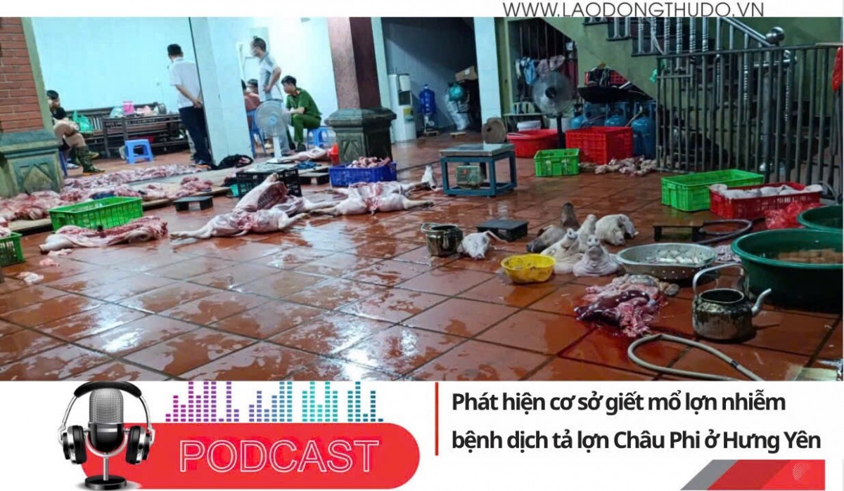 Điểm những tin nổi bật sáng ngày 8/8/2025: Phát hiện cơ sở giết mổ lợn nhiễm bệnh dịch tả lợn Châu Phi ở Hưng Yên