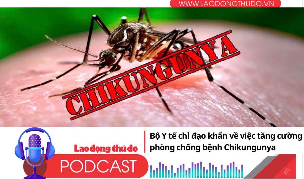 Điểm những tin nổi bật tối ngày 10/8/2025: Bộ Y tế chỉ đạo khẩn về việc tăng cường phòng chống bệnh Chikungunya