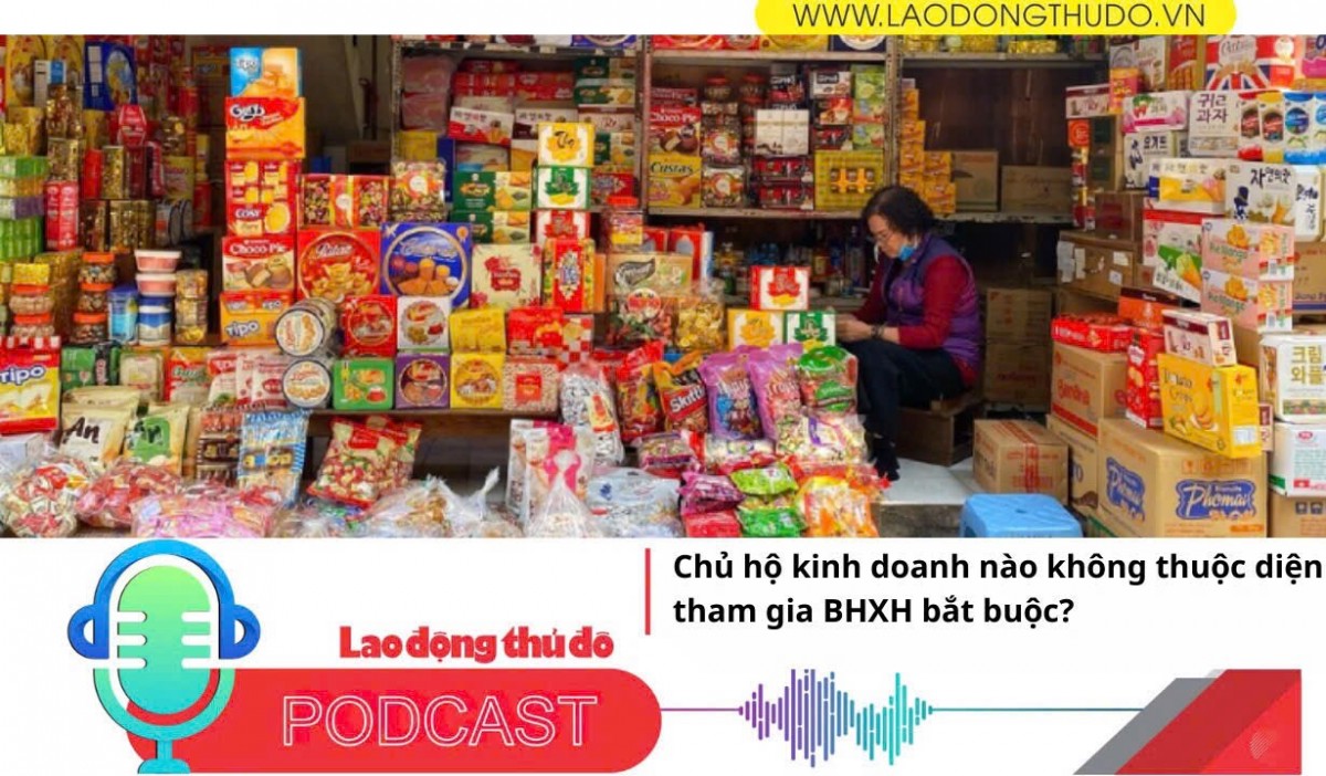 Chủ hộ kinh doanh nào không được diện tham gia BHXH bắt buộc