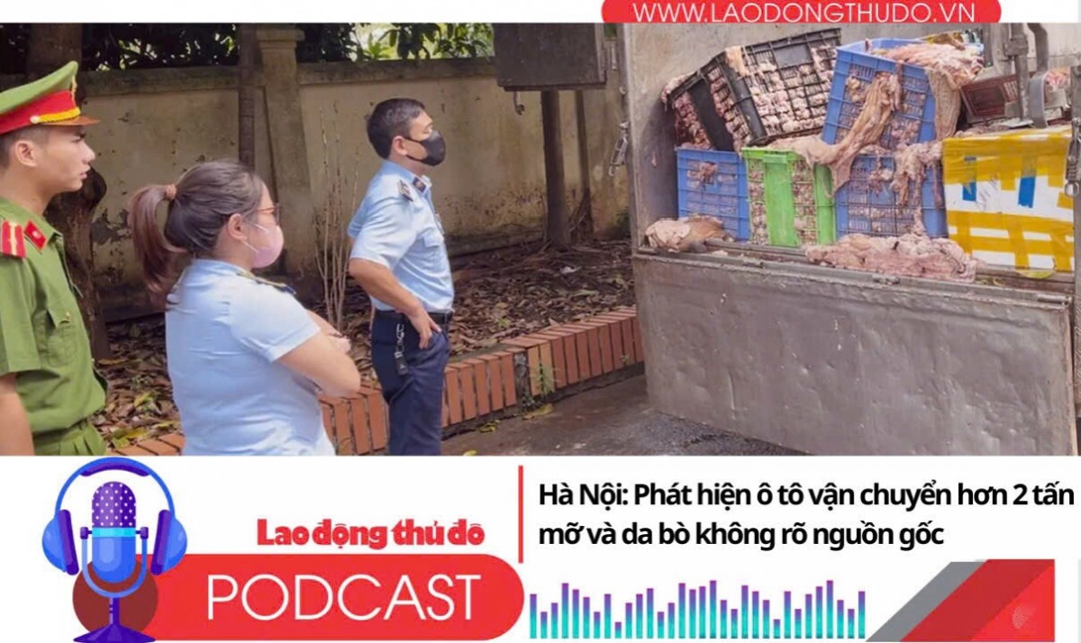 Điểm những tin nổi bật sáng ngày 15/8/2025: Hà Nội: Phát hiện ô tô vận chuyển hơn 2 tấn mỡ và da bò không rõ nguồn gốc