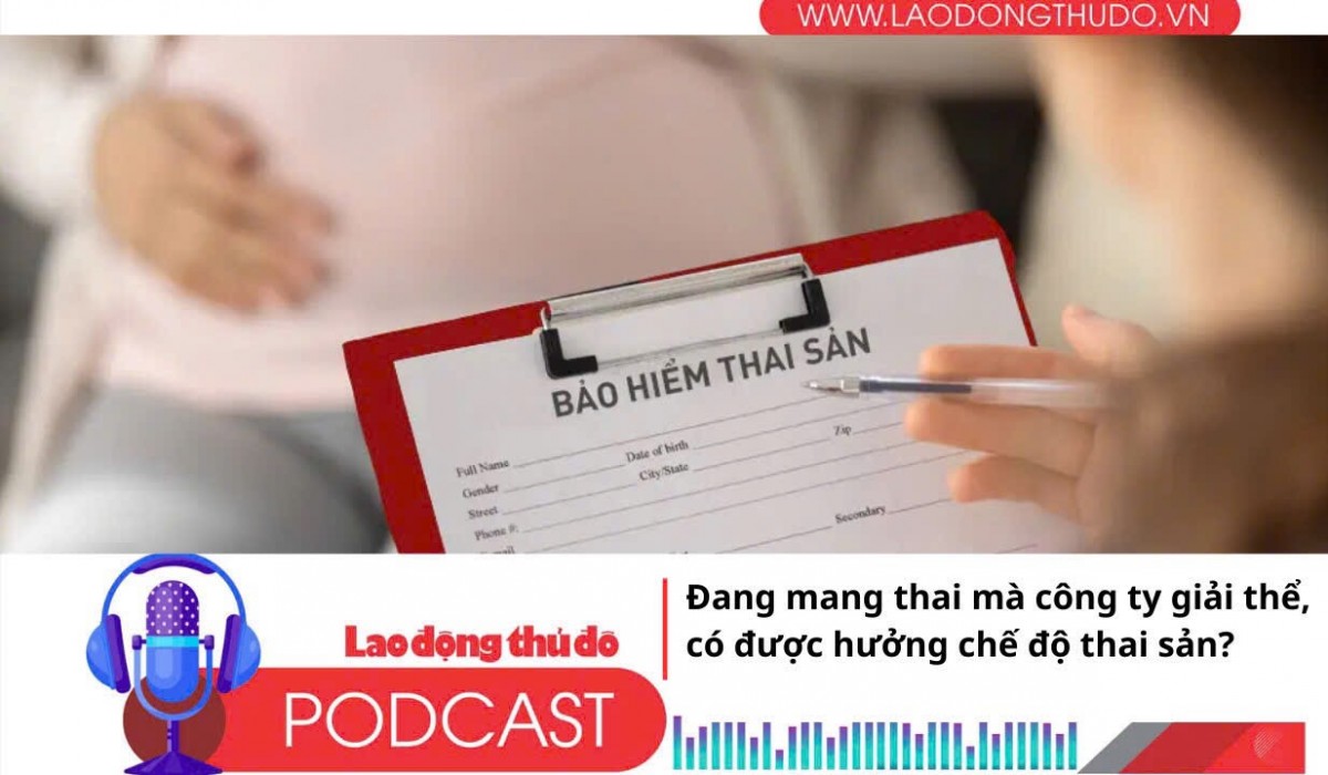 Đang mang thai nhưng công ty giải thể, NLĐ có được hưởng chế độ thai sản