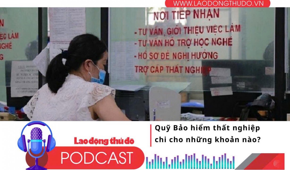Quỹ Bảo hiểm thất nghiệp chi cho những khoản nào