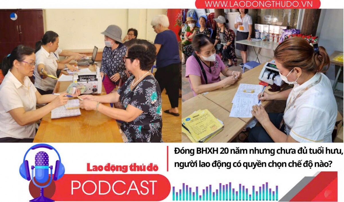 Đóng BHXH 20 năm nhưng chưa đủ tuổi hưu, người lao động có quyền chọn chế độ nào