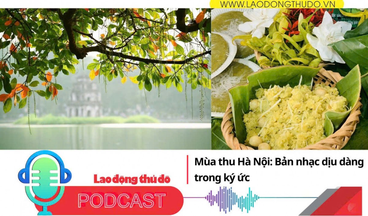 Mùa thu Hà Nội Bản nhạc dịu dàng trong ký ức