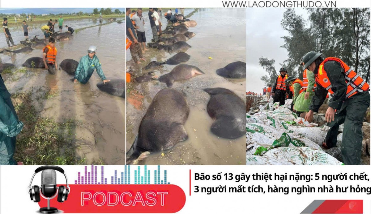Điểm những tin nổi bật tối ngày 7/11/2025: Bão số 13 gây thiệt hại nặng: 5 người chết, 3 người mất tích, hàng nghìn nhà hư hỏng
