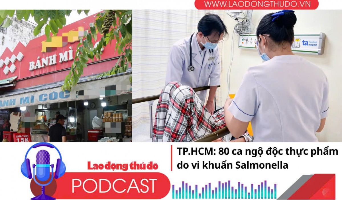 Điểm những tin nổi bật tối ngày 8/11/2025: TP.HCM: 80 ca ngộ độc thực phẩm do vi khuẩn Salmonella