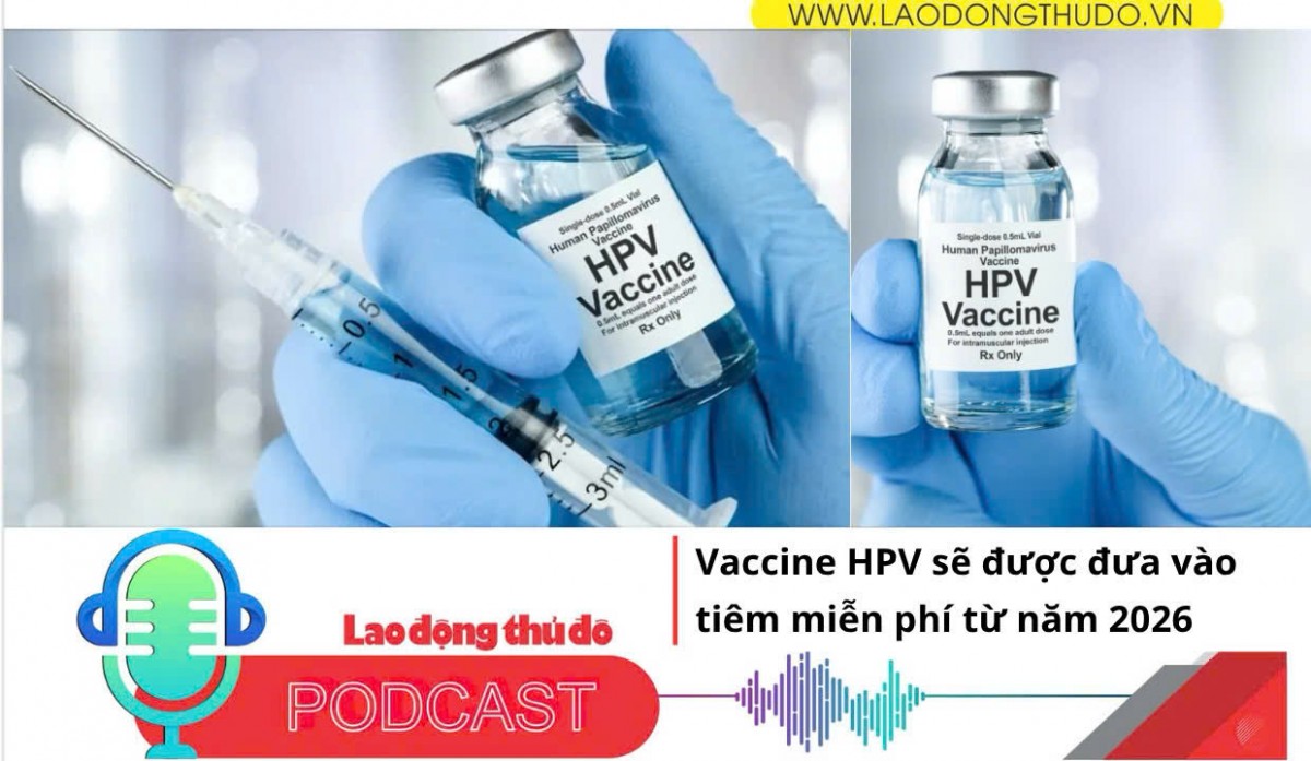 Điểm những tin nổi bật tối ngày 15/11/2025: Vaccine HPV sẽ được đưa vào tiêm miễn phí từ năm 2026