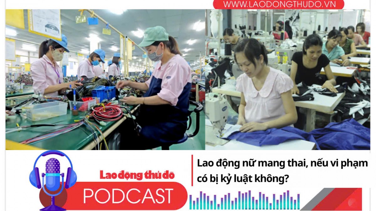 Lao động nữ mang thai, nếu vi phạm có bị kỷ luật không
