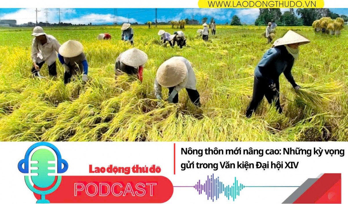 Nông thôn mới nâng cao Những kỳ vọng gửi trong Văn kiện Đại hội XIV