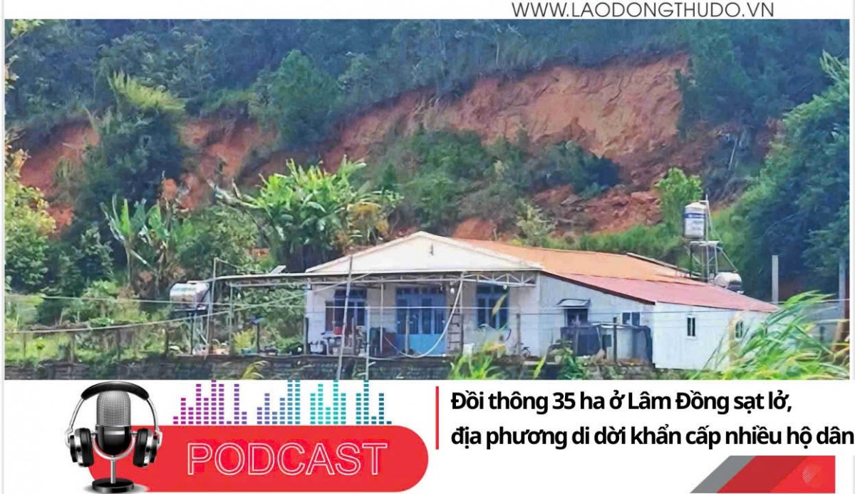 Điểm những tin nổi bật sáng ngày 12/12/2025: Đồi thông 35 ha ở Lâm Đồng sạt lở, địa phương di dời khẩn cấp nhiều hộ dân