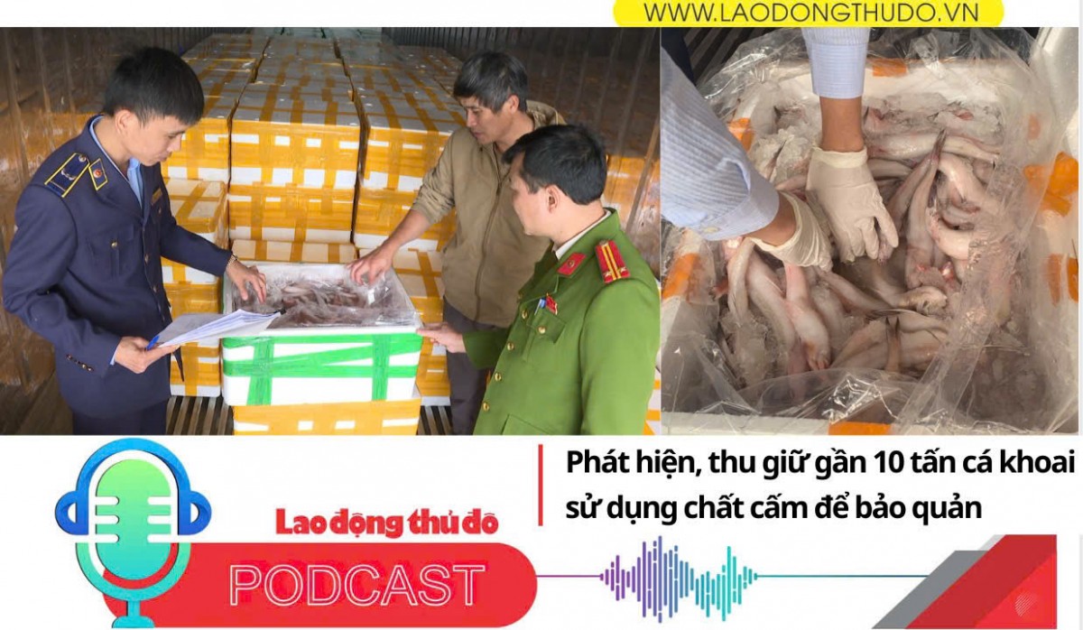 Điểm những tin nổi bật tối ngày 23/12/2025: Phát hiện, thu giữ gần 10 tấn cá khoai sử dụng chất cấm để bảo quản