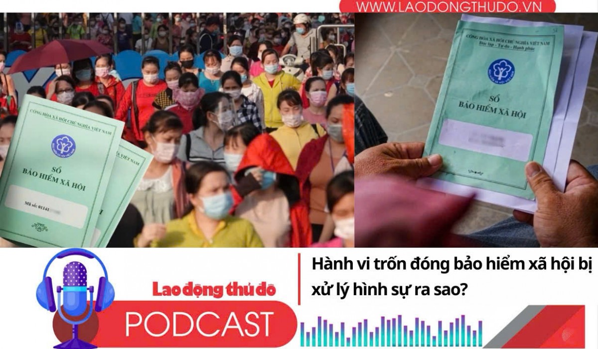 Hành vi trốn đóng bảo hiểm xã hội bị xử lý hình sự ra sao