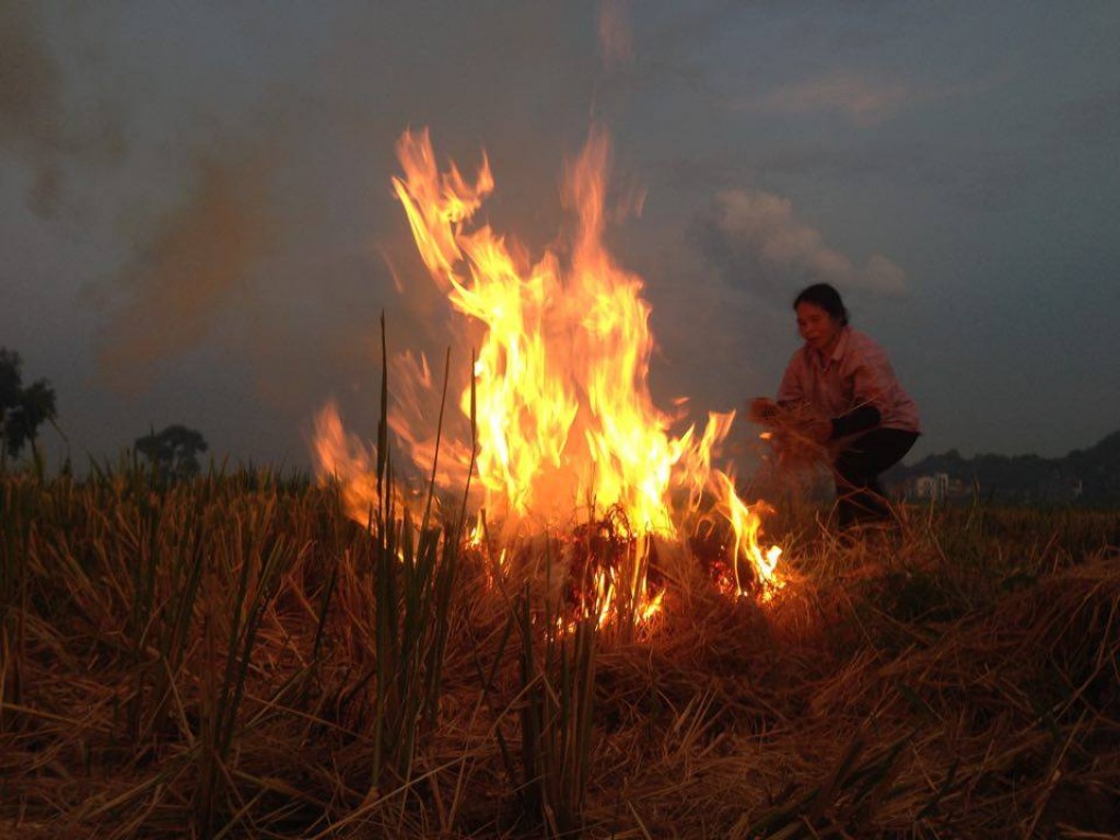 Hà Nội: khói từ việc đốt rơm rạ đang uy hiếp người dân nội thành