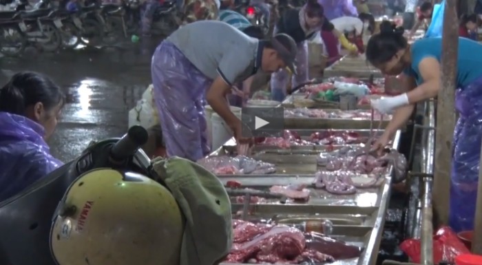 Hà Nội: Nỗi lo về kiểm soát giết mổ gia súc, gia cầm