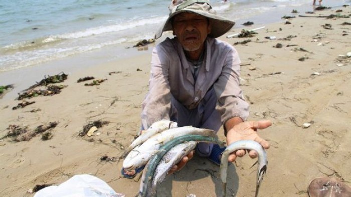 Kinh doanh hải sản đìu hiu sau vụ cá chết miền Trung