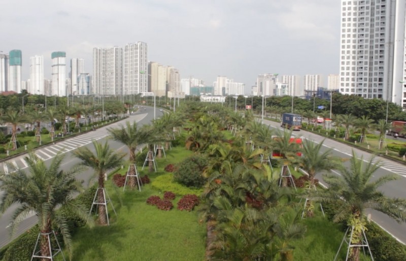 Dự án trồng mới 1 triệu cây xanh ở Hà Nội