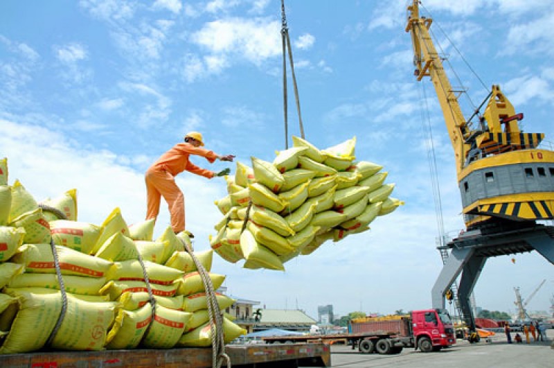 Xuất khẩu gạo Việt Nam ở mức thấp nhất trong 8 năm